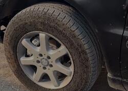 Bakıda &quot;Milçək yağışı&quot; - VİDEO