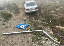 Avtomobil qoyun sürüsünə çırpıldı, Onlarla heyvan tələf oldu - FOTO