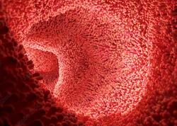 Orqan qədər vacibdir - Balans pozulanda xəstəliklər ağır yaranır