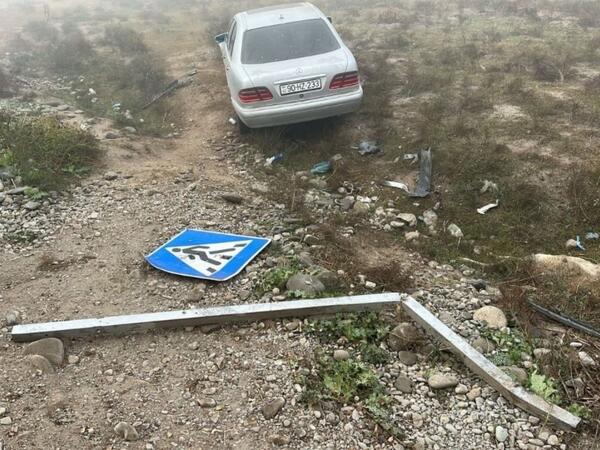 Avtomobil qoyun sürüsünə çırpıldı, Onlarla heyvan tələf oldu - FOTO