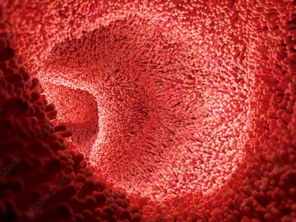 Orqan qədər vacibdir - Balans pozulanda xəstəliklər ağır yaranır