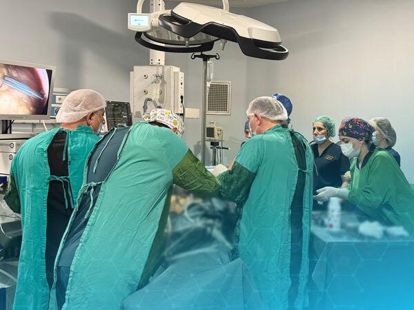 Arıqlamaq üçün canından olan məşhurlar - ARAŞDIRMA