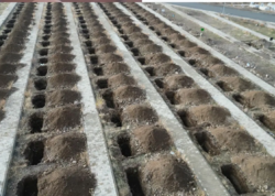 Təcili 500 məzar qazıldı - Türkiyədə diqqətçəkən hazırlıq - <span class="color_red">FOTO</span>