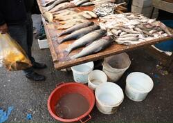 &quot;8-ci km&quot; bazarında antisanitar vəziyyət hökm sürür - AQTA - <span class="color_red">FOTO</span>