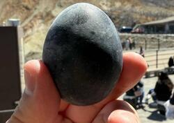 Kömür kimi qara yumurtalar qızıldan da dəyərlidir: 195 manata satılır