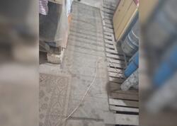 Bu restoranda nöqsanlar aşkarlandı