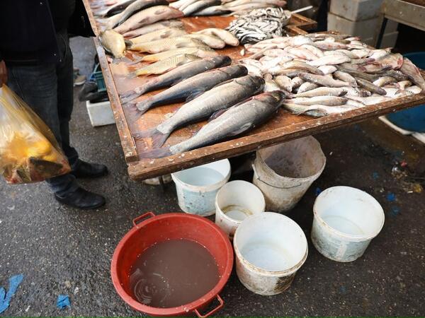 &quot;8-ci km&quot; bazarında antisanitar vəziyyət hökm sürür - AQTA - <span class="color_red">FOTO</span>