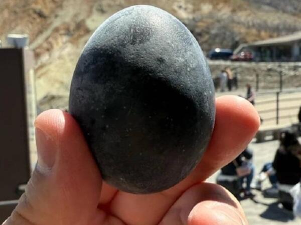 Kömür kimi qara yumurtalar qızıldan da dəyərlidir: 195 manata satılır