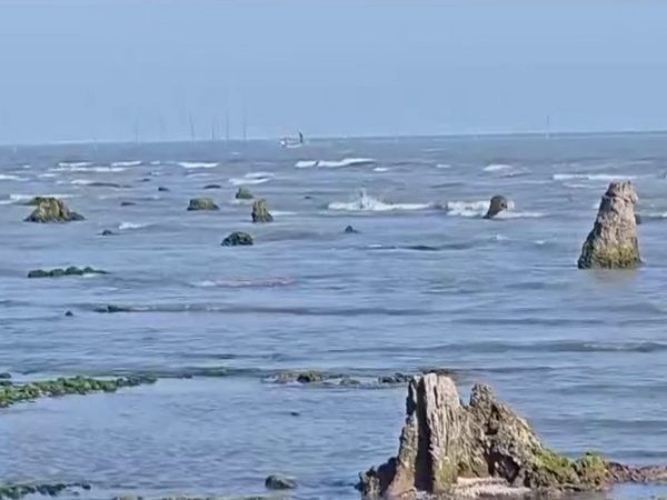 Azərbaycanda dəniz geri çəkildi, meşə zolağı ortaya çıxdı - FOTO
