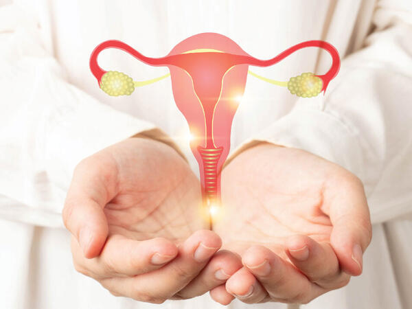 Süni mayalanma qorxusu aradan qalxır - Həkim hormonlarla bağlı mifləri qırdı