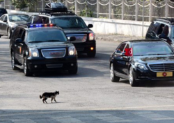 Ərdoğan bu körpəyə görə kortejini dayandırdı - <span class="color_red">VİDEO</span>