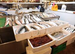 “Nəzrin-E” MMC-də ciddi nöqsanlar aşkarlanıb