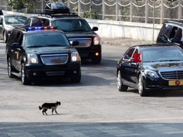 Ərdoğan bu körpəyə görə kortejini dayandırdı - <span class="color_red">VİDEO</span>