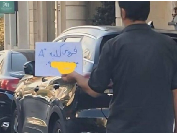 İran küçələri orqan bazarına çevrilir - <span class="color_red">FOTO</span>