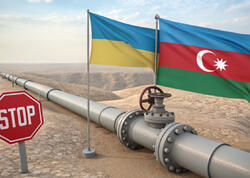 Şaquli dilemma: Avropanın bazar və xarici təzyiq arasında seçimi