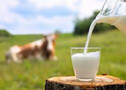 Yağlısı infarkta aparır - Yağsızı min bir dərdə dərmandır