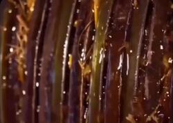 Duru yağı kanalizasiya suyundan hazırlayırlar - Artıq alanda iki dəfə düşünəcəksiniz - VİDEO