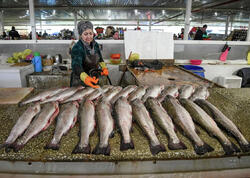 Əgər balığın qarnı belədirsə, almayın!