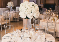 Azərbaycanda məşhur müğənninin restoran biznesi çökdü