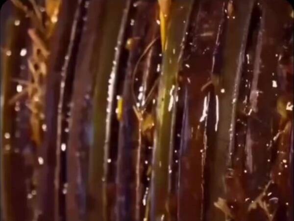 Duru yağı kanalizasiya suyundan hazırlayırlar - Artıq alanda iki dəfə düşünəcəksiniz - VİDEO