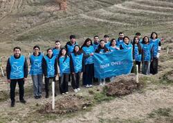“Yaşıl Marafon” kütləvi ağacəkmə kampaniyası davam edir - FOTO