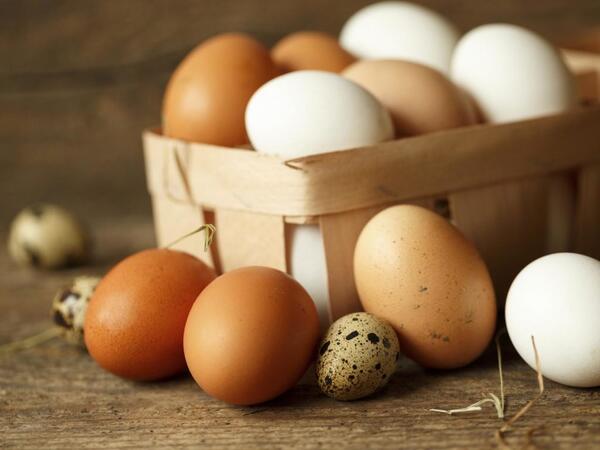 Yumurtaların saxlanmasında ən çox edilən SƏHV