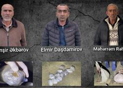 Lerikdə özlərini  &quot;meyvə satıcısı&quot; kimi tanıdan narkokuryerlər saxlanıldı