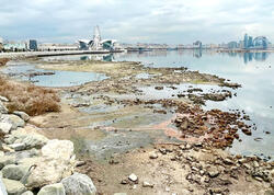 Xəzərin geri çəkilməsi hər sahəyə təsir etdi - Ekoloji təhlükə yaxınlaşır?