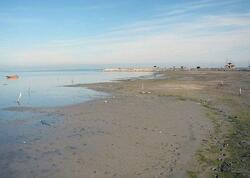 Xəzərin suyu çəkilir - Üzə çıxan ərazilərdə nəsə tikiləcək?