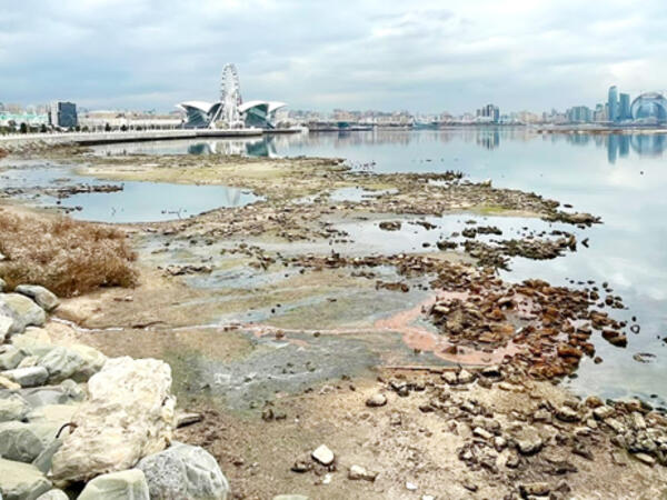 Xəzərin geri çəkilməsi hər sahəyə təsir etdi - Ekoloji təhlükə yaxınlaşır?