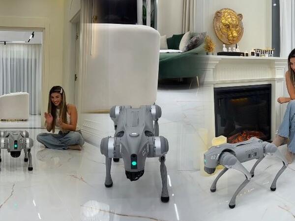 Azərbaycanlı bloger robot it alıb