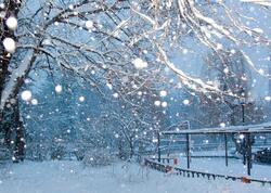 Kəlbəcərə güclü qar yağır - VİDEO