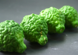 Çay deyil, meyvədir