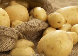 B6 vitaminli super qida: kartofun faydaları saymaqla bitmir