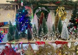 50 manatdan 3000 manatadək... - Şam ağaclarının qiymətləri kəskin artır