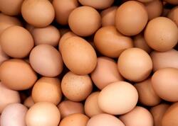 Yumurtanı soyuducuda tərs saxlayın - Görün nə olacaq