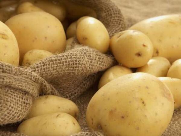 B6 vitaminli super qida: kartofun faydaları saymaqla bitmir