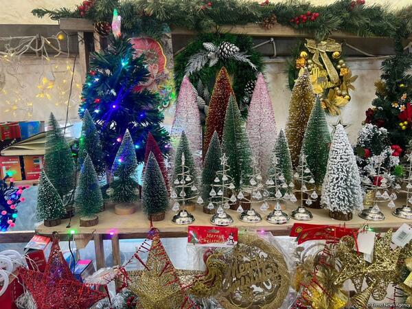 50 manatdan 3000 manatadək... - Şam ağaclarının qiymətləri kəskin artır