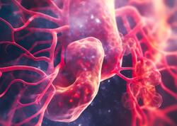 Gənclik iksiri hazırlandı - Ömrü iki dəfə uzadır