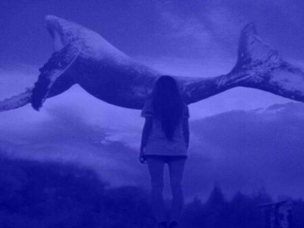 &quot;Mavi balina&quot; oyununun qurbanı olan 13 yaşlı Kəmalənin ad günündən <span class="color_red">VİDEO</span>