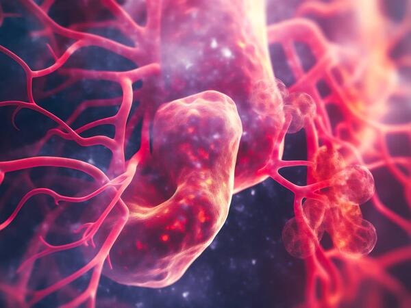 Gənclik iksiri hazırlandı - Ömrü iki dəfə uzadır