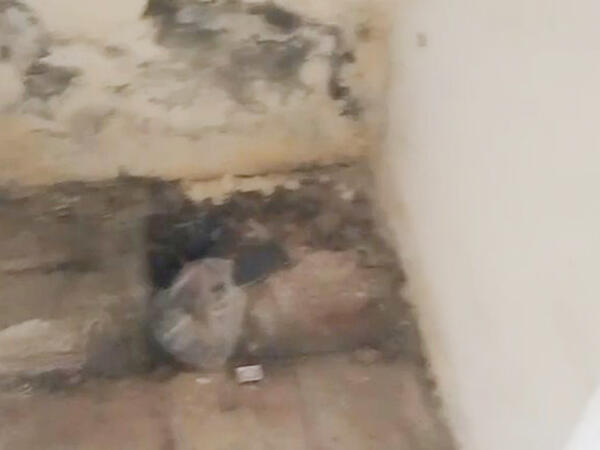 Yevlax stadionunda biabırçı vəziyyət - VIDEO