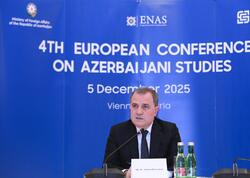 Ceyhun Bayramov Vyanada Konfransda çıxış edib - <span class="color_red">FOTO</span>