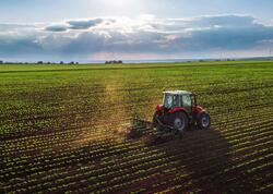 Əkin sahələrinin yandırılmasına görə cərimələr artırılır