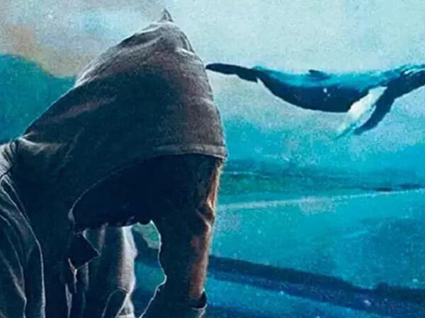 “Mavi balina”: səssiz dağıdıcı maşın. Hər bir valideynin <span class="color_red">oxumalı olduğu yazı</span>