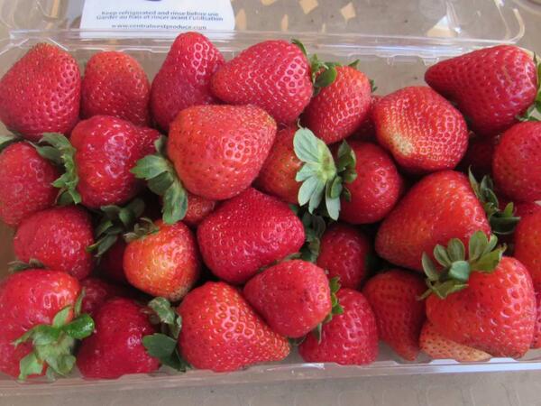 &quot;Yavaş-yavaş bizi öldürürlər&quot; - VİDEO