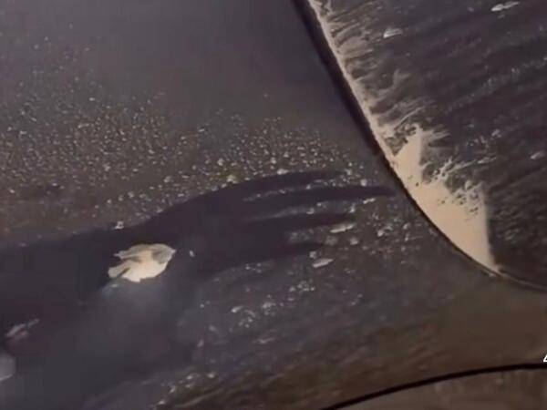 Yoldan keçən avtomobilləri daşlayanlar kimdir?