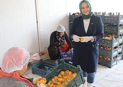 İşçidən sahibkarlığa: Xurmanın gücü ilə Kanada bazarına çıxdı - <span class="color_red">FOTO</span>