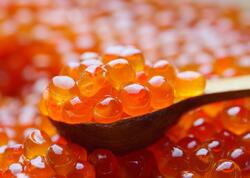 Üzərində E‑239 yazılan kürü almayın - Zəhər saçır