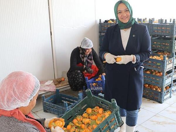 İşçidən sahibkarlığa: Xurmanın gücü ilə Kanada bazarına çıxdı - <span class="color_red">FOTO</span>